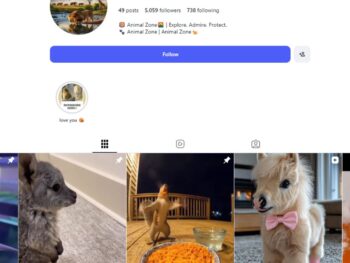 5K Funny Animals Instagram Account