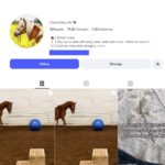 75K Horse Lovers Instagram Account