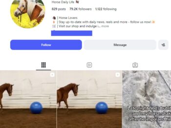 75K Horse Lovers Instagram Account