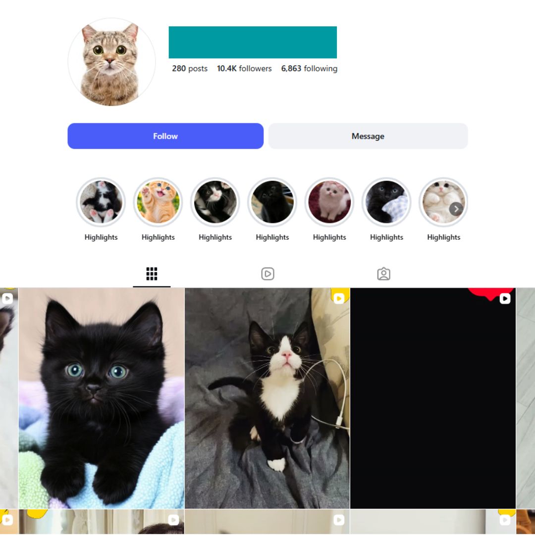10K Cat Kittens Pets Instagram Account for Sale 10K Cat Kittens Pets Instagram Account for Sale