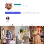 2K AI Cat Reels Instagram Account