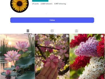 2K Floral Aesthetics Instagram Account