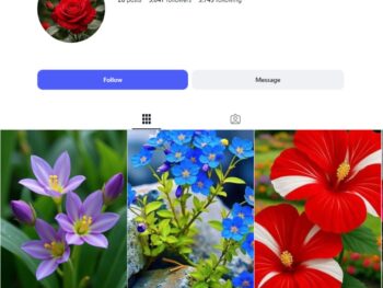3K Floral Nature Instagram Account