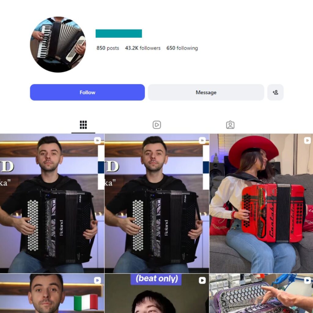 40K Accordion Music Instagram Account for sale