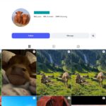 40K Cow Farm Animal Instagram Account