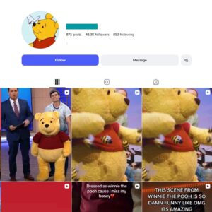 45K Winnie-the-Pooh Fans Instagram Account for sale