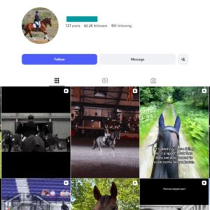 60K Equestrian Instagram Account for Sale