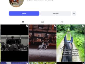 60K Equestrian Instagram Account for Sale
