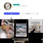 6K Cat Memes Instagram Account