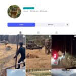 10K Wildlife Stories Instagram Account