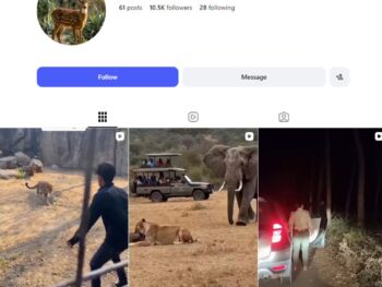 10K Wildlife Stories Instagram Account