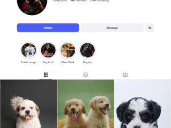 16K Custom Pet Art Instagram Account