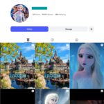 29K Frozen Disney Fan Instagram Account