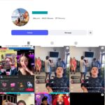 29K Lion King Disney Animation Instagram Account