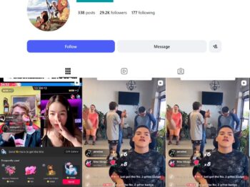 29K Lion King Disney Animation Instagram Account