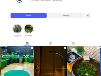 5K Flower and Plant Instagram Account