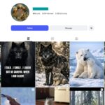 5K Spirit Animal Symbolism Instagram Account