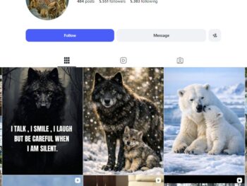 5K Spirit Animal Symbolism Instagram Account