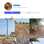 5K Wildlife Adventure Instagram Account