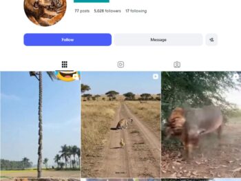 5K Wildlife Adventure Instagram Account