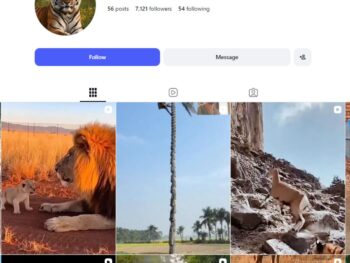 7K Wildlife Animals Instagram Account