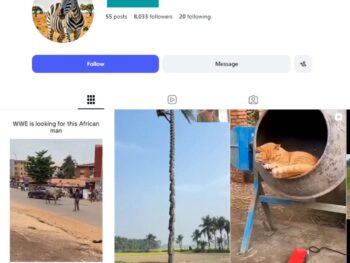 8K Wildlife Exploration Instagram Account