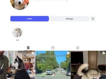 95K Husky Dog Instagram Account