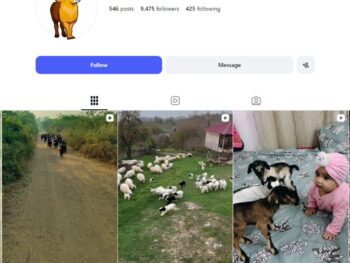 9K Goat Animal Lover Instagram Account