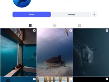 120K Shark Visuals Instagram Account