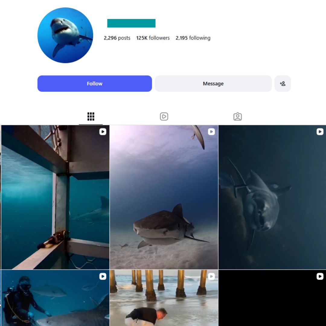 120K Shark Visuals Instagram Account for sale 120K Shark Visuals Instagram Account - Image 1