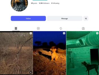 12K Animal Documentary Instagram Account