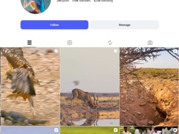 170K Wildlife Combat Instagram Account