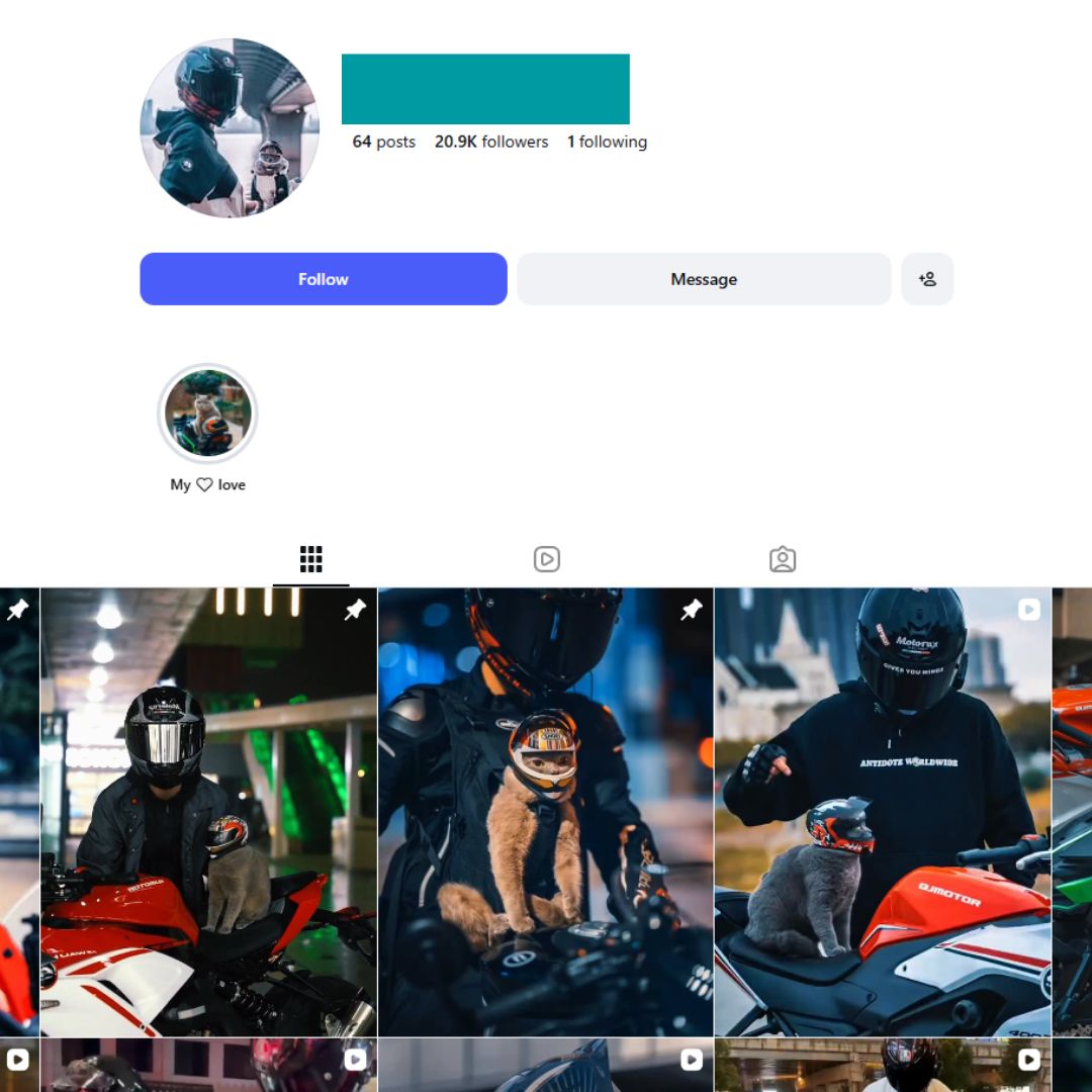 20K Cat Motorcycle Bikes Instagram Account for Sale