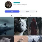 220K Wolf Aesthetic Photography Instagram Account