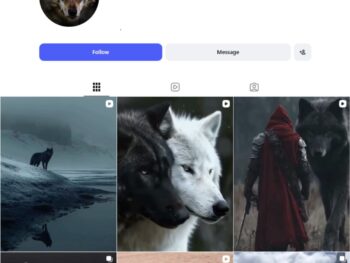220K Wolf Aesthetic Photography Instagram Account
