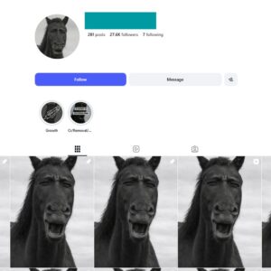 25K Entertainment Viral Content Instagram Account for Sale