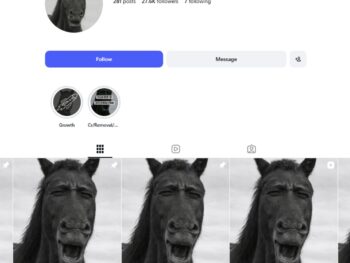 25K Entertainment Viral Content Instagram Account for Sale