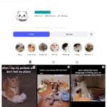 3K Daily Kitten Cuteness Instagram Account