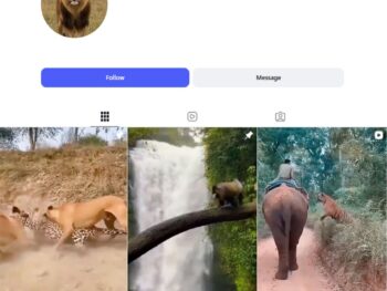 40K Animal Haunting Reels Instagram Account
