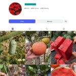 4K Garden Lover Instagram Account