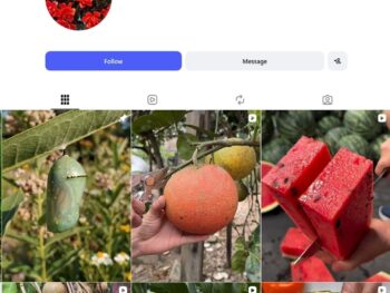4K Garden Lover Instagram Account