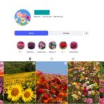 1K Beautiful Flower Instagram Account