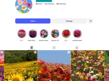 1K Beautiful Flower Instagram Account