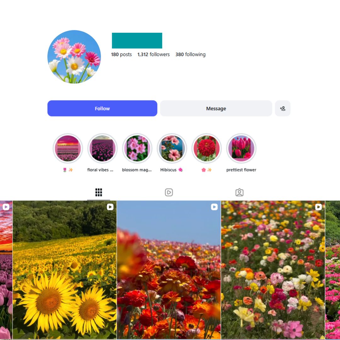 1K Beautiful Flower Instagram Account for Sale 1K Beautiful Flower Instagram Account - Image 1
