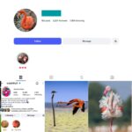 2K Flamingo Lovers Instagram Account
