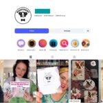 370K Pet Accessories Instagram Account