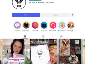 370K Pet Accessories Instagram Account