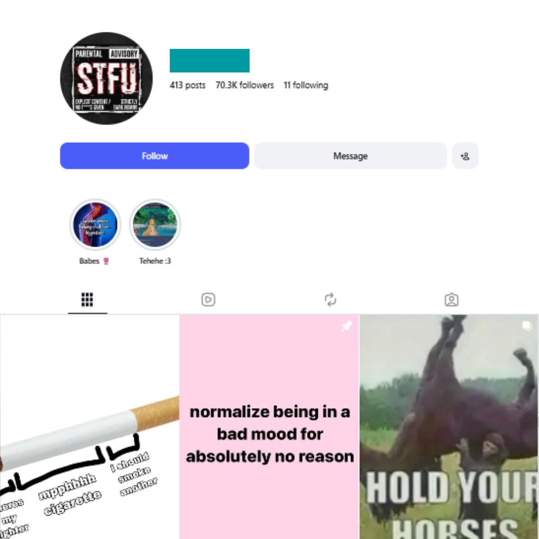 70K Relatable Humor Instagram Account for sale 70K Relatable Humor Instagram Account - Image 1