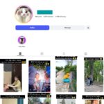 9K Funny Memes Instagram Account