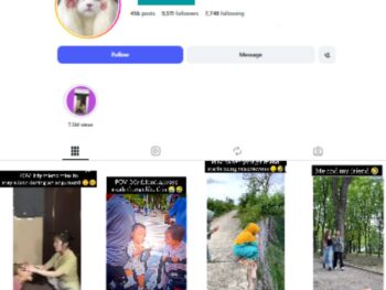 9K Funny Memes Instagram Account